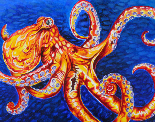 Tangerine Octopus